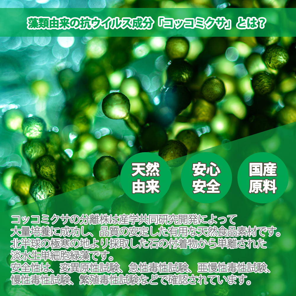 Kintol キントル 除菌 抗菌スプレー 萬祥株式会社